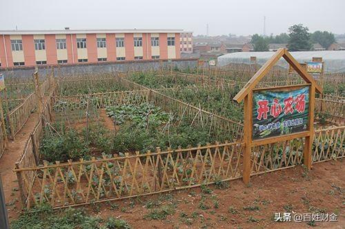 买北京郊区的那种开心农场农家院靠谱吗？：北京农家乐