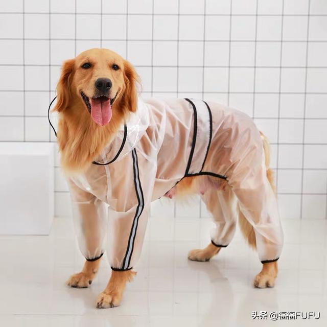 淋雨后一定要洗澡淋雨后一定要洗澡吗