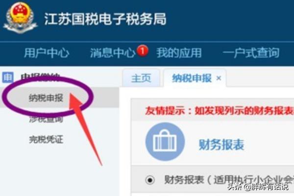 申报税务从未如此简便——江苏省地方税务局网上申报新体验，江苏省税务申报网址