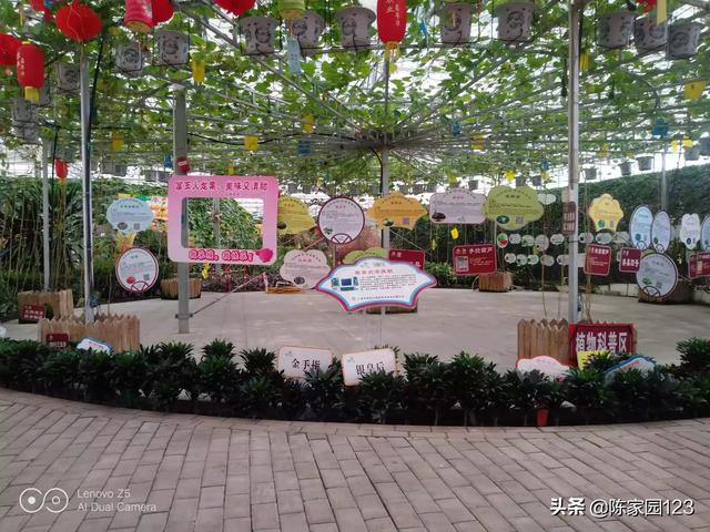 福建哪个地方最热闹？