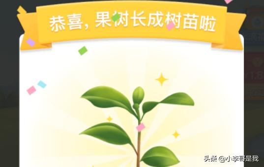 果园网上怎么种植的植物,果园网上怎么种植的植物呢