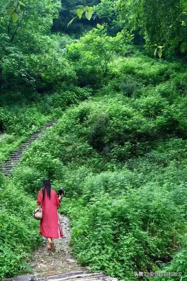 女人的微信名什么最好(图15)