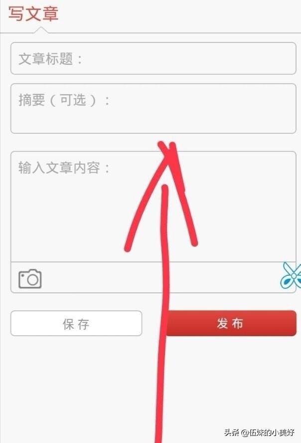 自媒体app开发