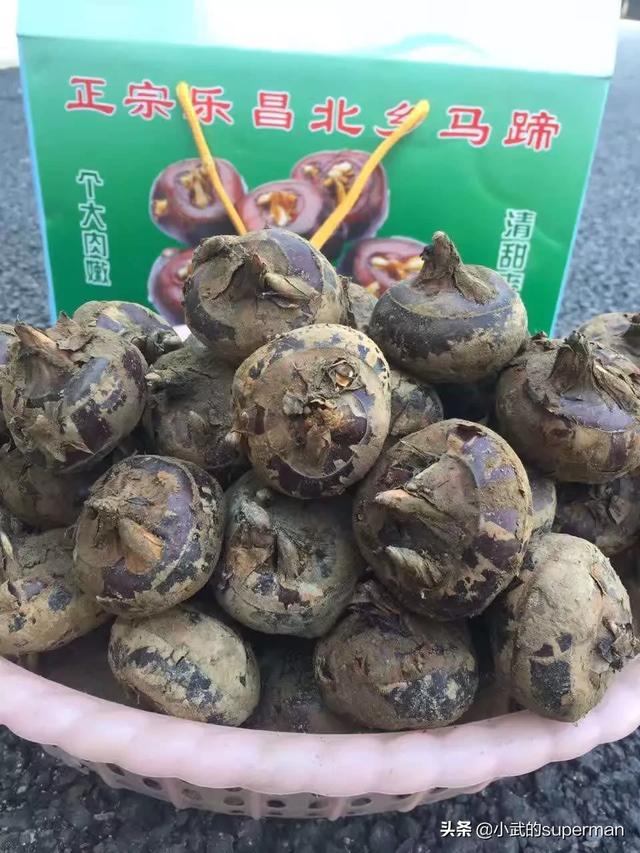 美食节用英文怎么表达 佐料的