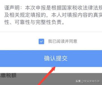 国家税务局网：了解新政策，轻松理清个人所得税申报步骤！，个人所得税务怎么申报