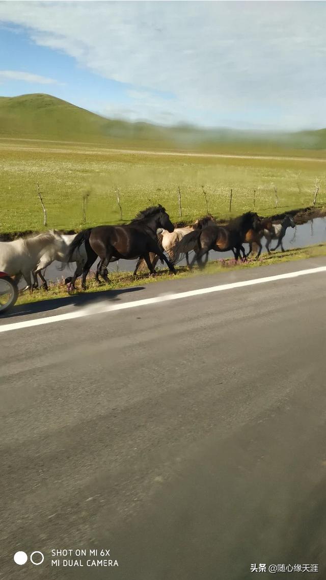 四川的风景哪里最好