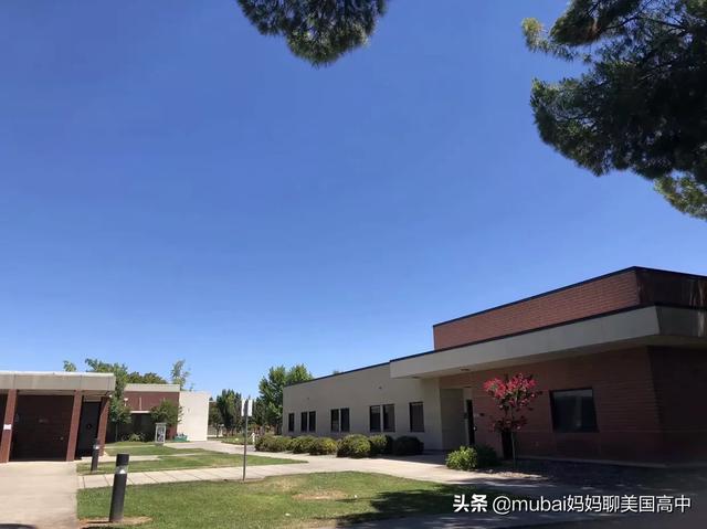 留学申请书，留学申请书模板
