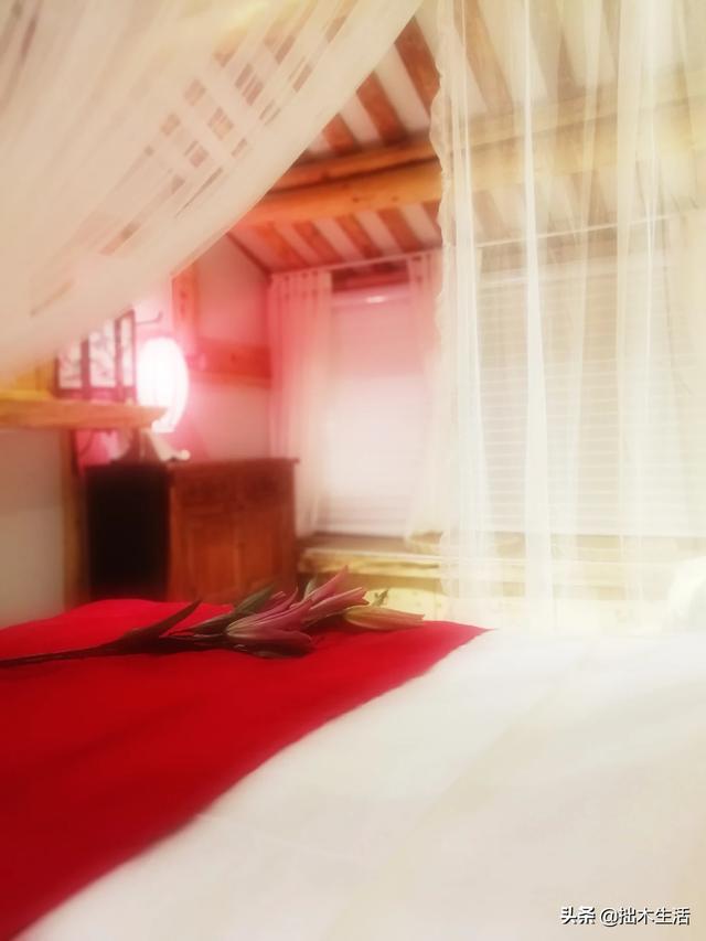 乡村景观设计主题？：趣味景观设计案例