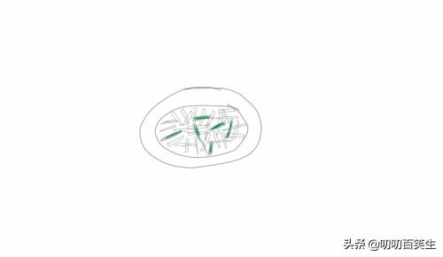 食物如何搭配营养简笔画(图4)