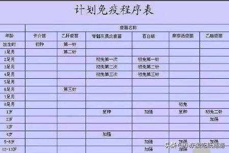 少儿保险明细表怎么查询，少儿保险明细表怎么查询不到