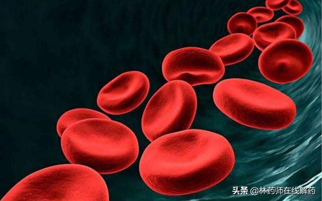 贫血吃什么补血效果最好女人(图42)