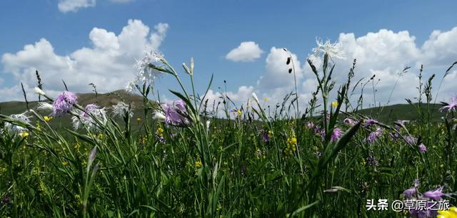 云南丽江市玉龙纳西族自治县3日2晚游评价好的农家乐联系方式,云南丽江玉龙纳西族自治县详细地址