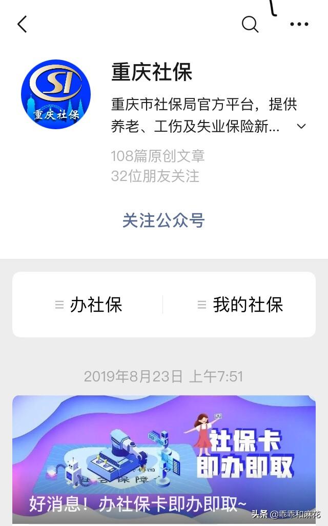 查询我的养老保险，查询我的养老保险缴费情况