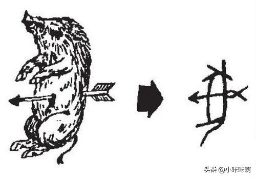 彘和豕的区别在哪里 彘与豕的区别？