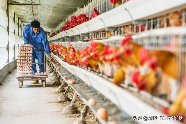 牧场图片牧场图片高清