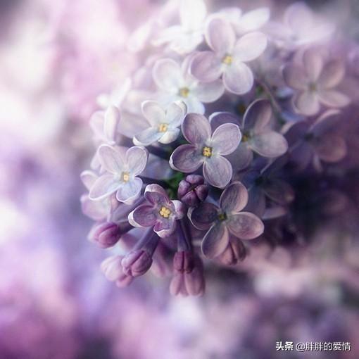 人生哲理对联及赏析_哲理句子精辟简短