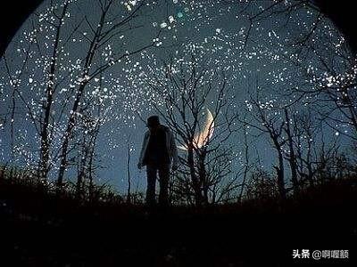 不现实的女人没好下场(图6)