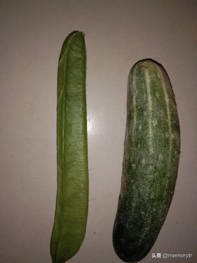 刀豆烧肉-刀豆烧肉的家常做法