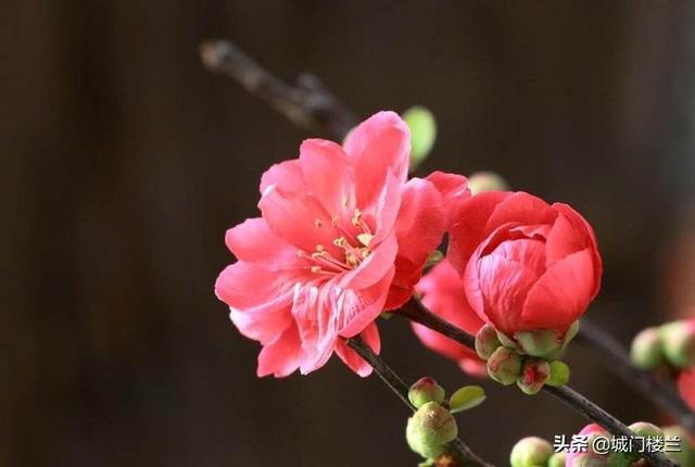 花满分鲜花店总店在哪里（花满缘鲜花店怎么样）