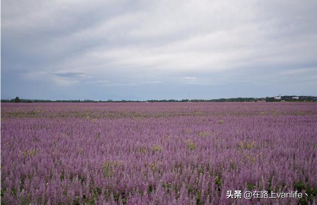 暑假旅游穿搭新疆美女， 暑假旅游穿搭新疆美女视频