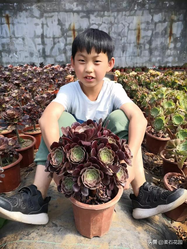 大连暑假旅游穿搭， 大连旅游穿衣指南有哪些?