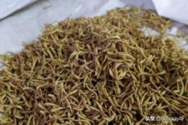 自制金银花怎么吃最好(图7)