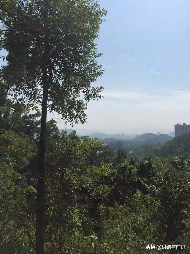 火锅冬天怎么吃不会胖吗(图9)