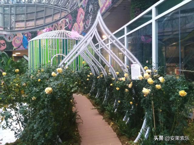 昆明花之城旅游路线攻略， 昆明花之城旅游路线攻略图