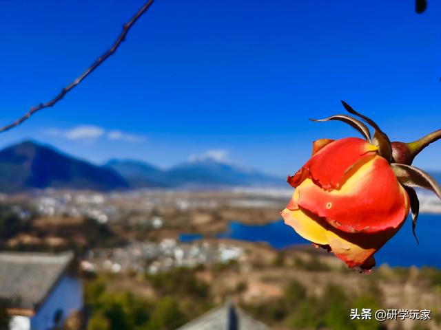 成都重庆旅游穿搭云南民族， 重庆成都云南旅游攻略