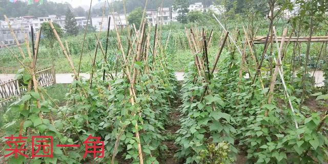 云南保山市保山工贸园区避暑民宿饭菜比较好吃的有哪些,保山工贸园进展