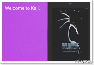 kaliLinux搭建网站