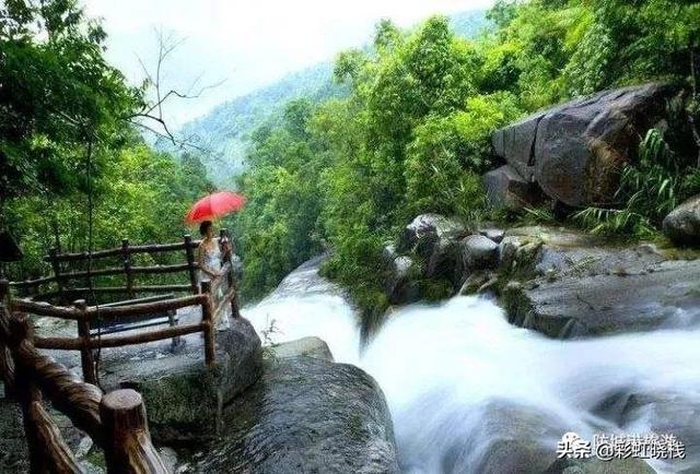 台中景点西区门票价格， 台中景点西区门票价格多少