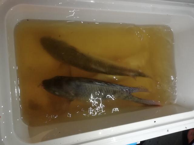 桂林市附近稻田有哪些