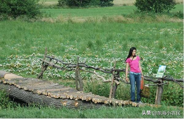 有什么电影里面风景特别好