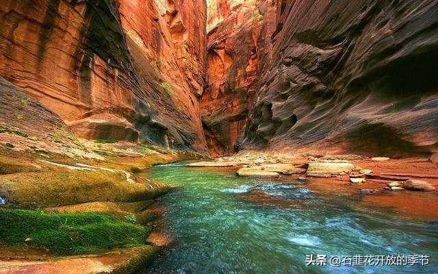 我家的餐桌-我家的餐桌祖辈父辈自己
