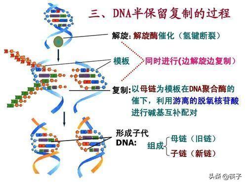 半全场走地---半全场走地大小球