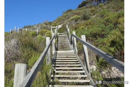 新东方背单词7-新东方背单词7年级上册