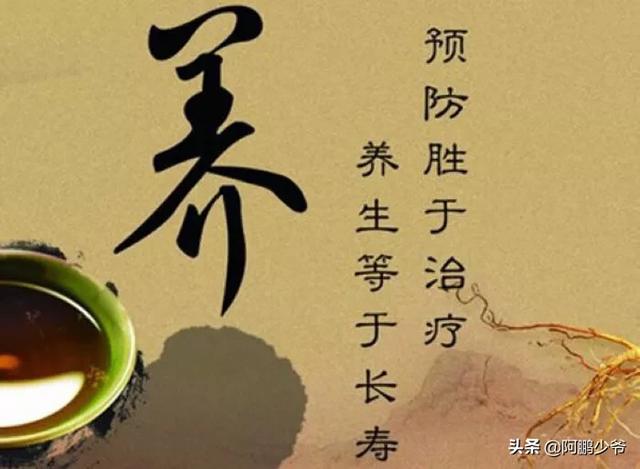 中医人在海外生活如何赚钱，中医人在海外生活如何赚钱的