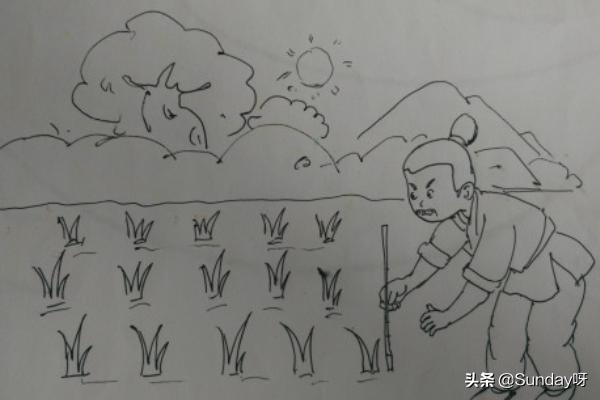 绿化种植图案 树木怎么画