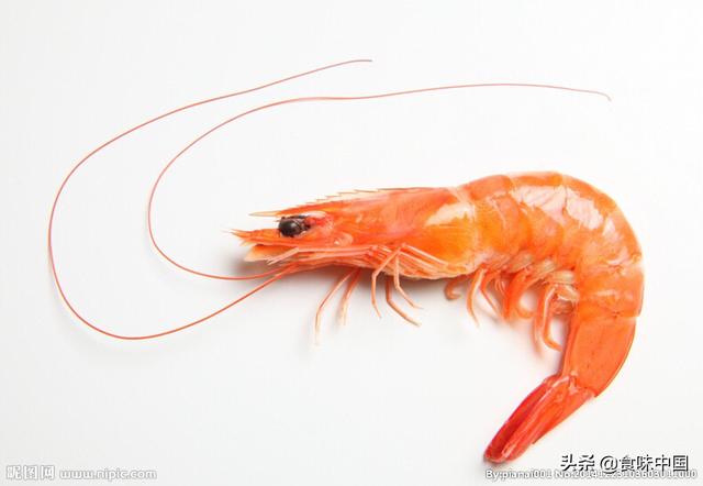 买虾如何买(买虾的时候怎么挑)