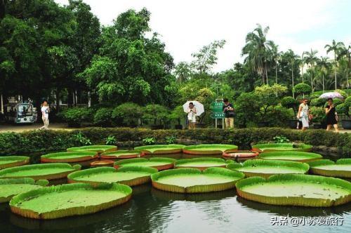 旅游心情（心情不好，你觉得出去旅游会是个好方法吗？）