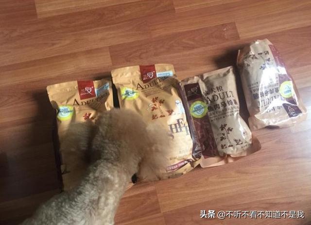 国产的狗粮哪些好,第1张