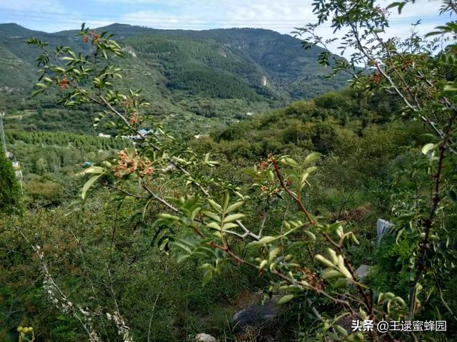 微生物养殖业-微生物养殖业发展前景