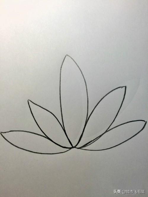 荷花简笔画