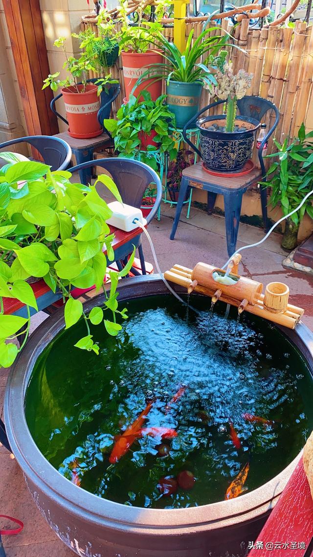 国外庭院景观设计实景国外庭院景观设计实景图