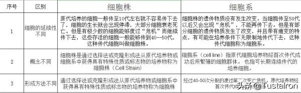 CELLLINE-cellline是什么意思