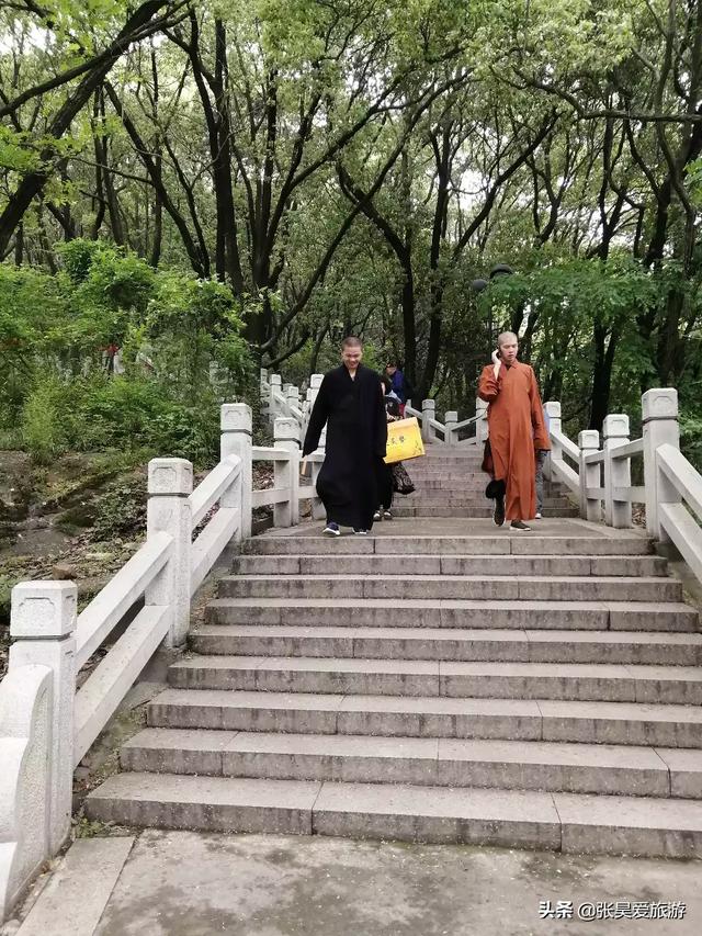 作死海外生活，老外作死日常