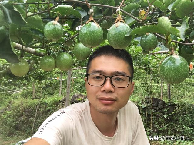 哈尔滨顶峰饲料公司-哈尔滨顶峰饲料公司地址