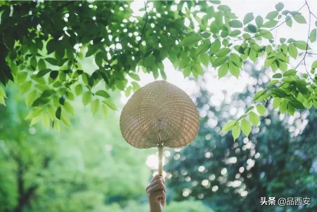 女人带娃有什么好处呢(图10)