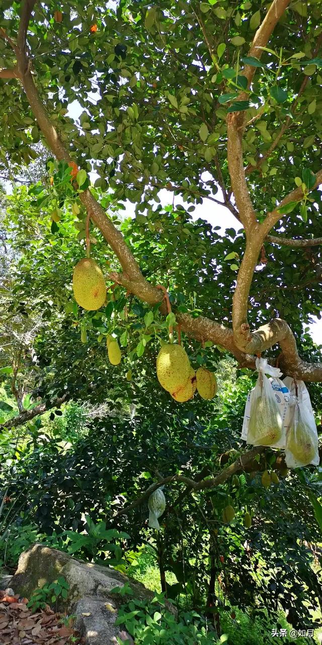 去玩相册 玩玩的相册-第55张图片-春华游戏网